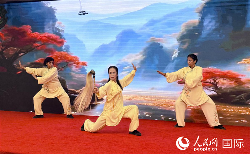 华侨华人和外国友人共同表演武术、太极拳。人民网记者 焦翔摄